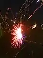 Photo of exploding artillery shell fireworks. 4 July fireworks in Denton, Texas, 60 second exposure