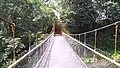 Hanging Bridge