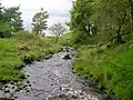 The Hareshawmuir Water near the confluence with the Carlin Burn. Note the iron support for the old footbridge across to the Carlin Stone.