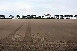 The harrow smooths the surface of the ploughed field.