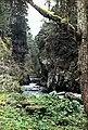 Haslach Gorge with the Rechenfelsen rocks