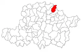 Location in Arad County