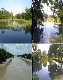 Hatashe Channel in Barovatra, Nanikhir, Nawkhanda and Pathorghata