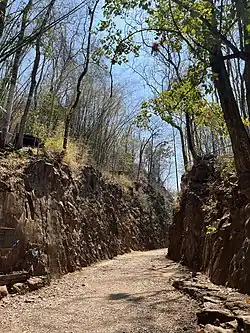 Abandoned railway lines in a deep rocky cutting adorned with memorial flowers