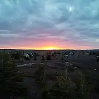 The area surrounding Herring Cove at sunset.