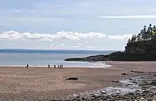 A sandy beach at dusk the sand on the bottom half, and the water and the horizon on the top half. There's a group of people walking across the shoreline, and on the right side of the picture there's a rock formation jutting upwards from the sand with evergreen trees on it