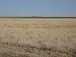 Cimarron County near Boise City. (2009)