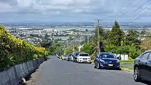 View from Hillsborough looking towards Onehunga