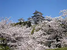 Image 76Sakura blossoms with Himeji Castle in Hyōgo Prefecture in April (from Geography of Japan)