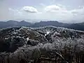 Trees with frosts from the top of Mount Hinokizuka Okumine (03/2009)