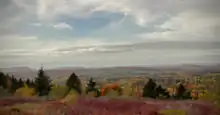 Fall Foliage atop of Hodgdon's Westford Hill