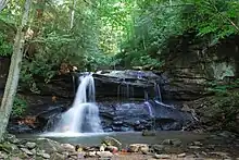 A waterfall along a rushing stream surrounded by forests.