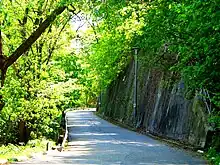 small road winding through forest along a hillside