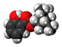 Space-filling model