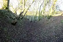 Disused tramway cutting.