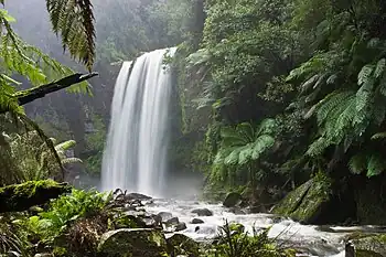 Image 36Efforts are made to preserve the natural characteristics of Hopetoun Falls, Australia, without affecting visitors' access. (from Conservation biology)