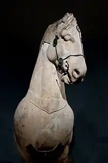 A fragmentary horse from a colossal four-horse chariot group which topped the podium of the Mausoleum at Halicarnassus.