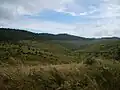 upland pasture in Horton Plains Valley, Horton Plains National Park in central highlands of Sri Lanka