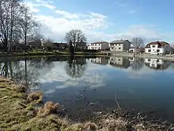 Houses around a pond