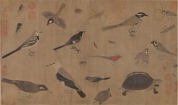 Image 19Description of rare animals (写生珍禽图), by Huang Quan (903–965) during the Song dynasty. (from History of biology)