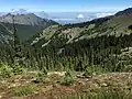 Unicorn Peak (upper left) from Hurricane Ridge