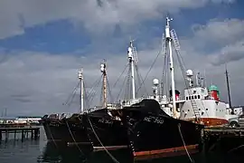 Old whaling ships Hvalur 6, 7, 8 and 9.