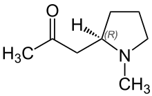 Chemical structure of hygrine