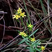 Green Lake County, Wisconsin