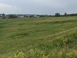 Ilyinsky meadow, Suzdalsky District