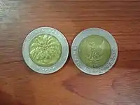 Two coins of this kind, with the second one bearing the mint year 1996