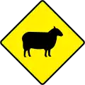 W 152Sheep