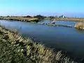 Mating area in the Yser (for fish)