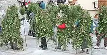 Hermit (tree-man masks) in Satriano di Lucania