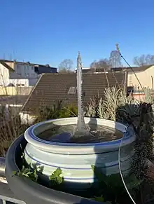 Ice Spike in a Birdbath