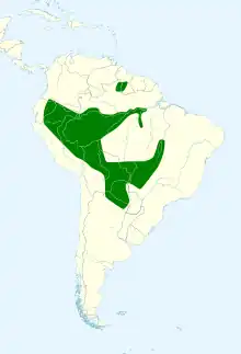 Map showing range I. croconotus