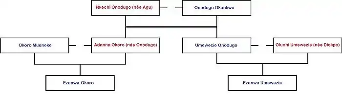 Example of an Igbo family tree explained below.