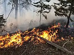 Closeup view of fire