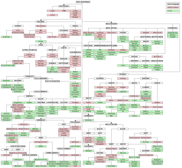 Partial tree of Indo-European languages.