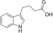 Skeletal structure diagram