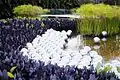 The art installation "Narcissus Garden" by Yayoi Kusama is displayed in Brumadinho/Brazil. She was a member of the Brata Gallery.