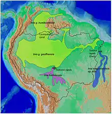 Araguaian river dolphin range