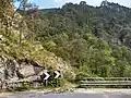 Mt. Tavagnone, Fucina locality on provincial road No. 9, beginning at the Nangone bridge of the trail that leads through the Sas Valley to the mount