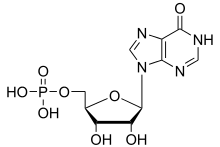 inosine monophosphate (IMP)