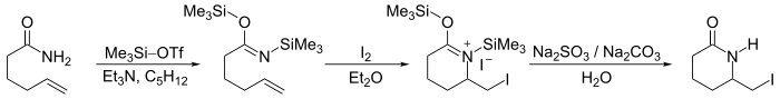 Iodolactamization reaction