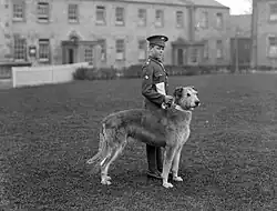 Member of the Irish Guards, pictured at Waterford Barracks with the regiment's mascot, an Irish Wolfhound named Leitrim Boy