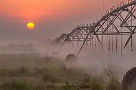 Center-pivot irrigation at Irkhaya Farms