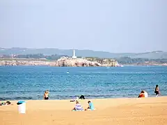 View of the island as seen from Sardinero