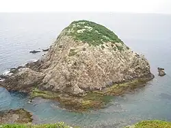 The island