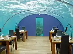 Image 9Ithaa, the first undersea restaurant at the Conrad Maldives Rangali Island resort (from Hotel)