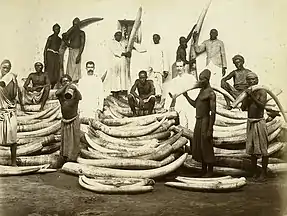 Ivory trade in the African Great Lakes region, 1880s.